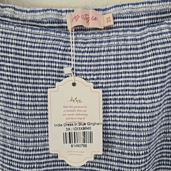 NWT IVY CITY BLUE GINGHAM DRESS SIZE 3X - Picture 2 of 3